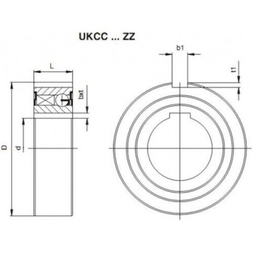 ukcshema1cts