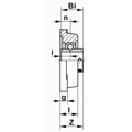 Нержавеющий корпус подшипника F206 SS BECO