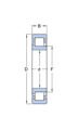 Подшипник NJ305 ECP SKF